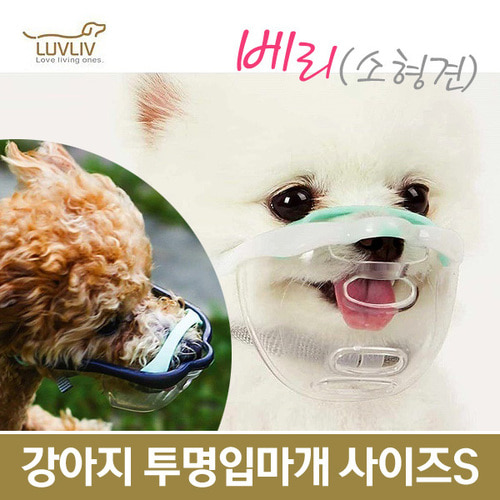 컴포트 편한 강아지 산책 투명입마개 마우스핏 베리