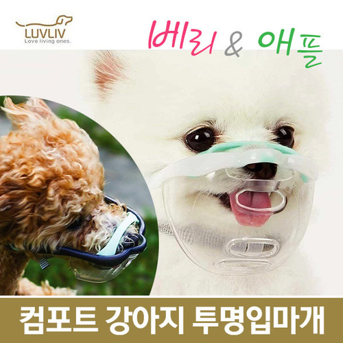 컴포트 강아지 산책 투명입마개 마우스핏 베리와 애플