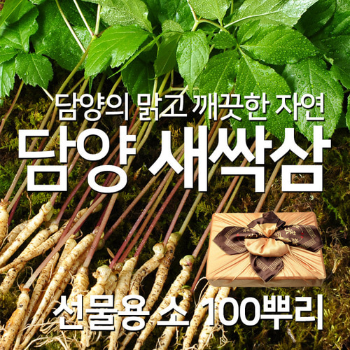 설 추석 명절 선물 채식 웰빙 식단 쌈채소 새싹삼 소 100뿌리